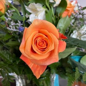 Meet your Posher, Tabitha